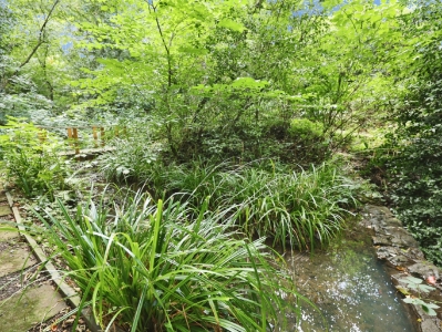 Picture 47